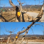 경로당에서 제공하는 점심식사 - 2026- 지리산 귀농일기 - 설봉의 <지리산방> 2/12- 메기 매운탕, 오란다 만들기, 경로당에서 제공하는 점심식사