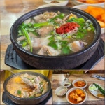 7/16-담양여행(정원문화원, 명옥헌 원림, 소쇄원, 창평국밥), 연기암 가는 화엄숲길 - 2026- 지리산 귀농일기 - 설봉의  7/16-담양여행... 