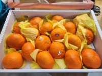 경로당에서 제공하는 점심식사 - 2026- 지리산 귀농일기 - 설봉의 <지리산방> 2/12- 메기 매운탕, 오란다 만들기, 경로당에서 제공하는 점심식사