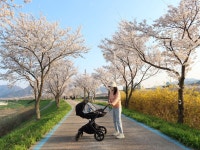 4/4- 노르딕 워킹 지도자 과정, 손주와 함께 벚꽃 구경, 두릅튀김 - 2022- 지리산 귀농일기 - 설봉의 <지리산방> 4/4- 노르딕 워킹 지도자 과정... 