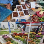 10/13- 노고단 다녀오기, 땅콩 캐고 들깨 털기, 금목서 향기 - 2025- 지리산 귀농일기 - 설봉의 <지리산방> 10/13- 노고단 다녀오기, 땅콩 캐고... 