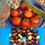 10/13- 노고단 다녀오기, 땅콩 캐고 들깨 털기, 금목서 향기 - 2025- 지리산 귀농일기 - 설봉의 <지리산방> 10/13- 노고단 다녀오기, 땅콩 캐고... 