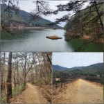 1/31-대봉감나무 전정, 천은사 상생의 길, 매생이전, 마을운영위원회 - 2026- 지리산 귀농일기 - 설봉의 <지리산방> 1/31-대봉감나무 전정, 천은사... 