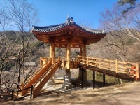 1/25- 돌솥비빔밥, 화엄사 전망대 - 2026- 지리산 귀농일기 - 설봉의 <지리산방> 1/25- 돌솥비빔밥, 화엄사 전망대