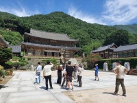 7/17- 첫 출근, 농촌살아보기팀 수료, 서시천 원추리꽃, 농장 모습 - 2022- 지리산 귀농일기 - 설봉의 <지리산방> 7/17- 첫 출근, 농촌살아보기팀... 