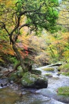 (25,11,16) 경남 지리산 계곡 단풍산행, 굴바위 만나러 갑니다. - 번개... 산악회 (25,11,16) 경남 지리산 계곡 단풍산행, 굴바위 만나러 갑니다.