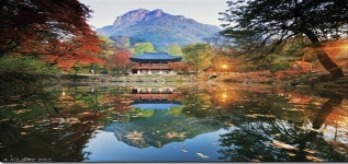 (25,11,09) 전남 장성 백암산 단풍산행. - 번개 & 야간산행 - 창원 山아山아 산악회 (25,11,09) 전남 장성 백암산 단풍산행.