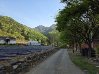 한강1300리 14차 살미역~월악산들바람 펜션 19km - 2026. 4. 22.... - 쏘다니기 - 산줄기따라 한강1300리 14차 살미역~월악산들바람... 