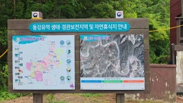 한강1300리 19차 어라연입구~문산1리 8.5km - 2026. 5. 27.... - 쏘다니기 - 산줄기따라 한강1300리 19차 어라연입구~문산1리 8.5km... 