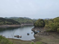 한강1300리 14차 살미역~월악산들바람 펜션 19km - 2026. 4. 22.... - 쏘다니기 - 산줄기따라 한강1300리 14차 살미역~월악산들바람... 