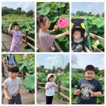 연꽃마을 산책하고 왔어요 - 꿈나무 소식 - 장애아동교육기관 포천꿈나무어린이집 연꽃마을 산책하고 왔어요