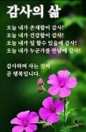☆ 삶의 미덕 ☆ - 자유 게시방 - 수림결혼정보 www.zzakk.com ☆ 삶의 미덕 ☆