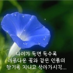 ♡ 남편의 수명 ❤️ - 자유 게시방 - 수림결혼정보 www.zzakk.com ♡ 남편의 수명 ❤️