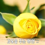 ♡감동을 주는 명언들 - 감동 좋은글 - 수림결혼정보 www.zzakk.com ♡감동을 주는 명언들