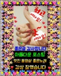 그렇게 사는 인생 - 사랑♡좋은 글방 - 수림결혼정보 www.zzakk.com 그렇게 사는 인생