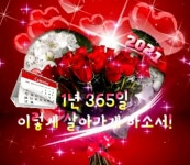 🌹새해 1년 365일 이렇게 살아가게 하소서!🌹 - 좋은글 - 수림결혼정보 www.zzakk.com 🌹새해 1년 365일 이렇게 살아가게 하소서!🌹