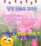 살아가면서 참 많은 사람들을 만나게 된다 - 자유 게시방 - 수림결혼정보 www.zzakk.com 살아가면서 참 많은 사람들을 만나게 된다