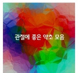 [관절에 좋은 약초 모음] - 자유 게시방 - 수림결혼정보 www.zzakk.com [관절에 좋은 약초 모음]