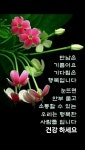 0 - 좋은글 - 수림결혼정보 www.zzakk.com 0