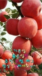 ★어느 랍비의 유서★ - 감동 좋은글 - 수림결혼정보 www.zzakk.com ★어느 랍비의 유서★