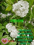 ★ 여유 ★ - 사랑♡좋은 글방 - 수림결혼정보 www.zzakk.com ★ 여유 ★