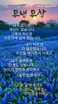 🌸🌺인생(人生)의 길동무🌸🌺 - 좋은글 - 수림결혼정보 www.zzakk.com 🌸🌺인생(人生)