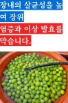#매실차의놀라운효능ㅡ - 자유 게시방 - 수림결혼정보 www.zzakk.com #매실차의놀라운효능ㅡ