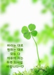한번 맺은 인연은 영원하라 - 사랑♡좋은 글방 - 수림결혼정보 www.zzakk.com 한번 맺은 인연은 영원하라