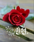 ♡오늘은 그냥 그대가 그립다 - 사랑♡좋은 글방 - 수림결혼정보 www.zzakk.com ♡오늘은 그냥 그대가 그립다