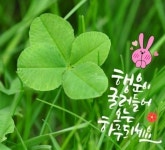 💕💕기쁨꽃 - 감동 좋은글 - 수림결혼정보 www.zzakk.com 💕💕기쁨꽃