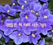 ◇ 항상 내가 먼저 ◇ - 자유 게시방 - 수림결혼정보 www.zzakk.com ◇ 항상 내가 먼저 ◇