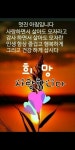 ★ 이런 사람이 행복합니다 ★ - 사랑♡좋은 글방 - 수림결혼정보 www.zzakk.com ★ 이런 사람이 행복합니다 ★