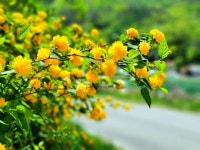기쁨은행을 만들어 봐요 - 사랑♡좋은 글방 - 수림결혼정보 www.zzakk.com 기쁨은행을 만들어 봐요