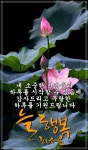 ♥ 행복의 문을 여는 방법 ♥ - 좋은글 - 수림결혼정보 www.zzakk.com ♥ 행복의 문을 여는 방법 ♥