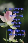 작고 사소한 행복들 - 사랑♡좋은 글방 - 수림결혼정보 www.zzakk.com 작고 사소한 행복들