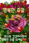 🌹새해 1년 365일 이렇게 살아가게 하소서!🌹 - 좋은글 - 수림결혼정보 www.zzakk.com 🌹새해 1년 365일 이렇게 살아가게 하소서!🌹