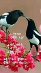 행복한 가족을 위해 필요한 10가지 - 감동 좋은글 - 수림결혼정보 www.zzakk.com 행복한 가족을 위해 필요한 10가지