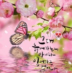 멋과건강이야기 | 🌹 노년의 멋 🌹 - 좋은글 - 수림결혼정보 www.zzakk.com 🌹 노년의 멋 🌹