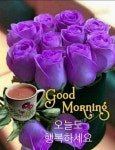 🧡 좋은 인연인 🧡 - 사랑♡좋은 글방 - 수림결혼정보 www.zzakk.com 🧡 좋은 인연인 🧡