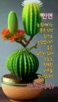 ✨️ 피하면 행복해지는 15가지 습관 ✨️ - 자유 게시방 - 수림결혼정보 www.zzakk.com ✨️ 피하면 행복해지는 15가지 습관 ✨️