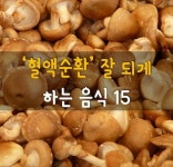 ＜혈액순환 잘 되게 하는 음식 15＞ - 자유 게시방 - 수림결혼정보 www.zzakk.com ＜혈액순환 잘 되게 하는 음식 15＞