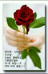 ＜건강 상태 나쁨 알리는 경고신호 7가지＞ - 자유 게시방 - 수림결혼정보 www.zzakk.com ＜건강 상태 나쁨 알리는 경고신호 7가지＞