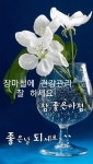 ✨️자기관리의 6가지 지혜 ✨️ - 자유 게시방 - 수림결혼정보 www.zzakk.com ✨️자기관리의 6가지 지혜 ✨️