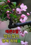 기적의 비결 - 좋은글 - 수림결혼정보 www.zzakk.com 기적의 비결