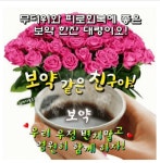 [나눔이 있어 좋은 친구] - 자유 게시방 - 수림결혼정보 www.zzakk.com [나눔이 있어 좋은 친구]