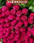 ♦️인간 관계를 위한 원칙 ♦️ - 자유 게시방 - 수림결혼정보 www.zzakk.com ♦️인간 관계를 위한 원칙 ♦️