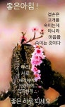 하루를 감동으로 선물해 주는 사람 - 감동 좋은글 - 수림결혼정보 www.zzakk.com 하루를 감동으로 선물해 주는 사람