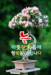 명심보감에서 배우는 삶의 지혜 - 자유 게시방 - 수림결혼정보 www.zzakk.com 명심보감에서 배우는 삶의 지혜