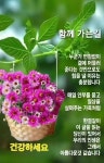 할수없네. 그냥사는 수 밖에 ● - 자유 게시방 - 수림결혼정보 www.zzakk.com 할수없네. 그냥사는 수 밖에 ●