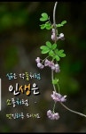 ★ 고혈압에 치명적인 식품 ★ - 자유 게시방 - 수림결혼정보 www.zzakk.com ★ 고혈압에 치명적인 식품 ★